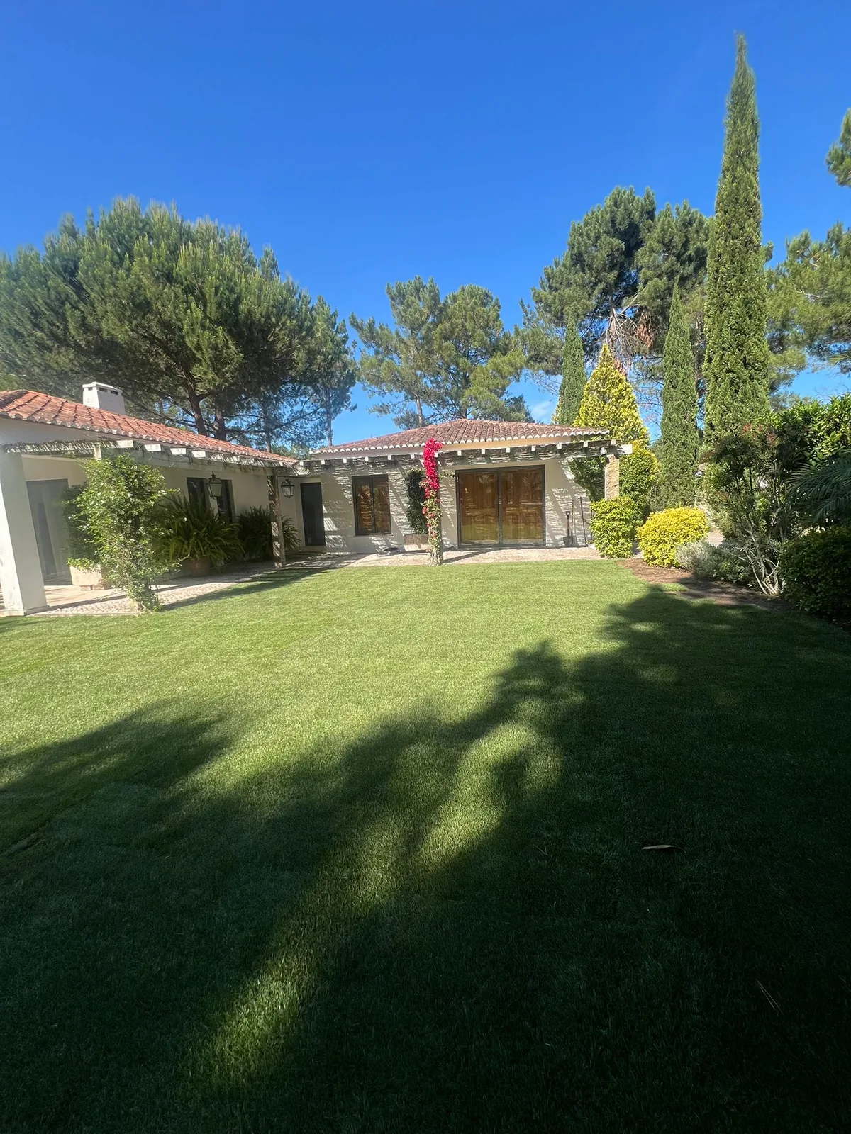 Nouvelle pelouse installée dans un jardin résidentiel au Grand Lisbonne