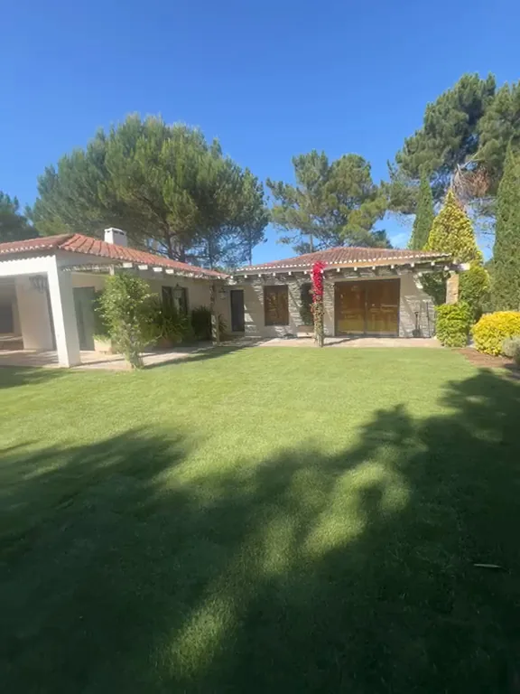 Préparation du sol et retrait de l'ancienne pelouse
