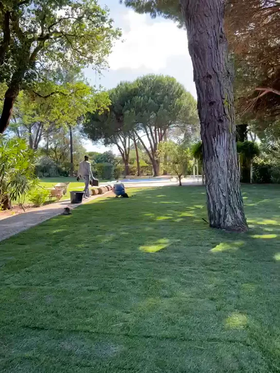 Préparation du sol et retrait de l'ancienne pelouse