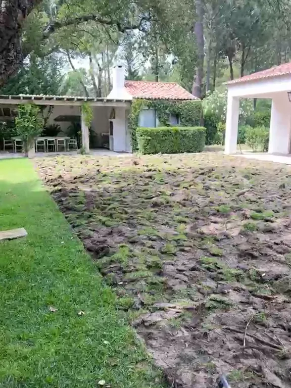 Nouvelle pelouse et jardin rénové avec arrosage au Grand Lisbonne