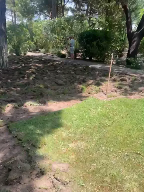 Nouvelle pelouse et jardin rénové avec arrosage au Grand Lisbonne