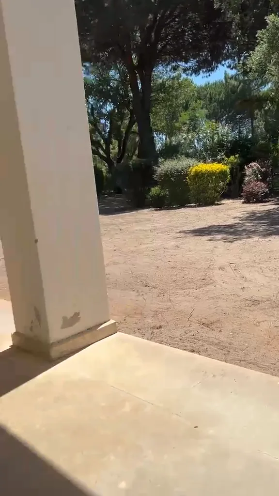 Nouvelle pelouse et jardin rénové avec arrosage au Grand Lisbonne